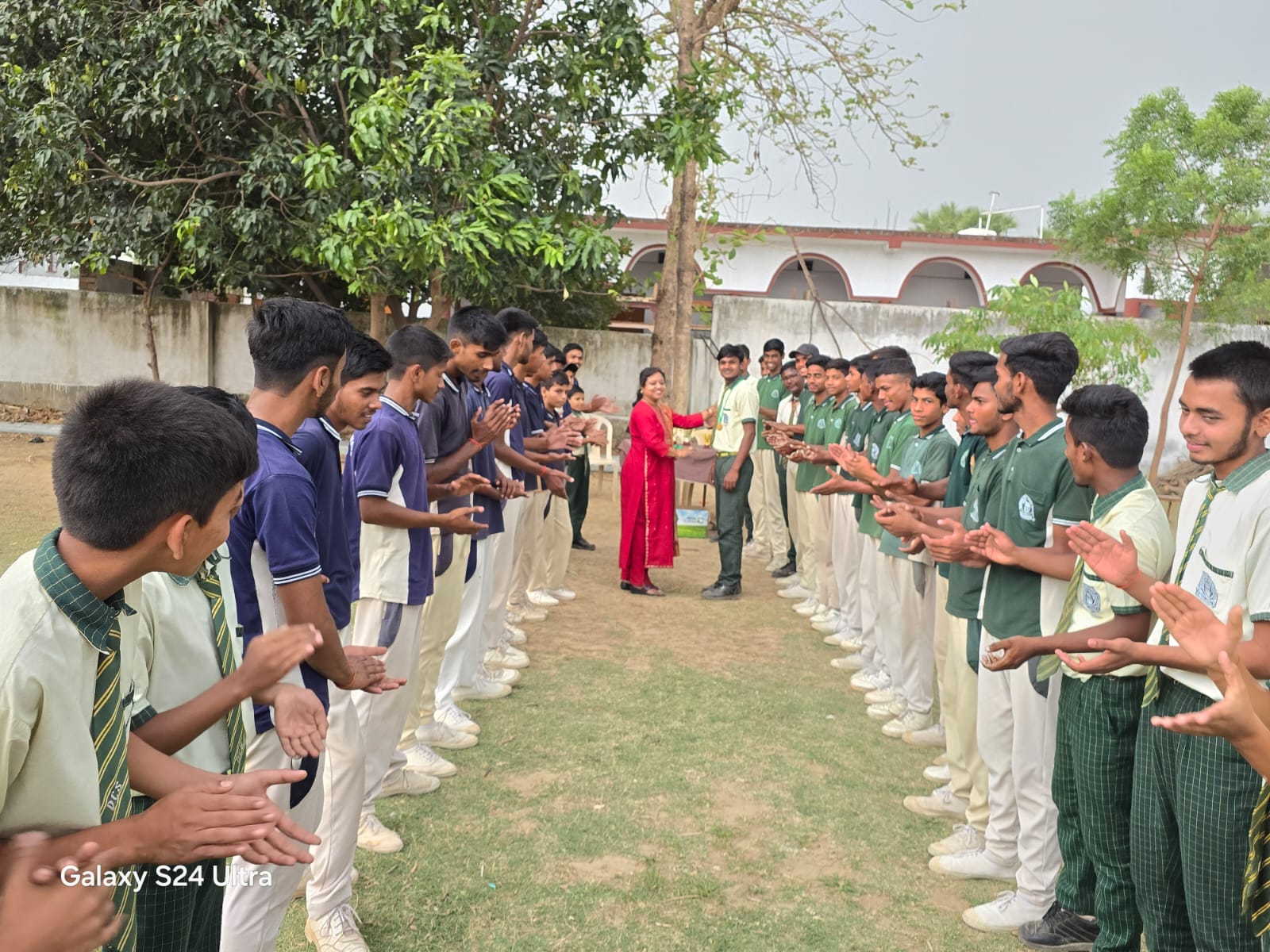 cricket 